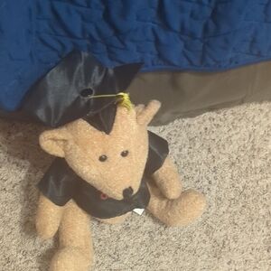Graduation Teddy Bear with Black Cap and Gown
